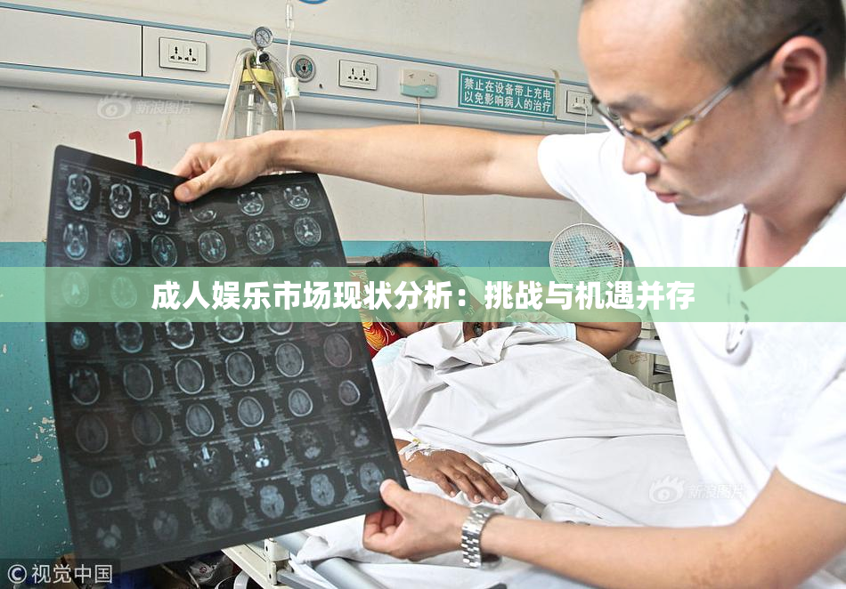 成人娱乐市场现状分析：挑战与机遇并存