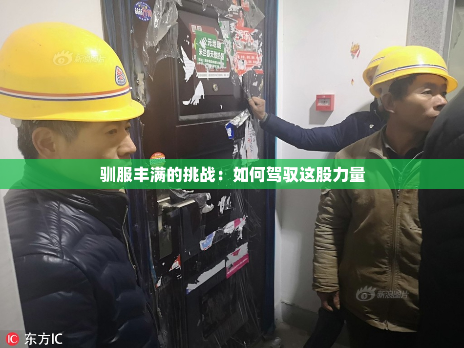 驯服丰满的挑战：如何驾驭这股力量