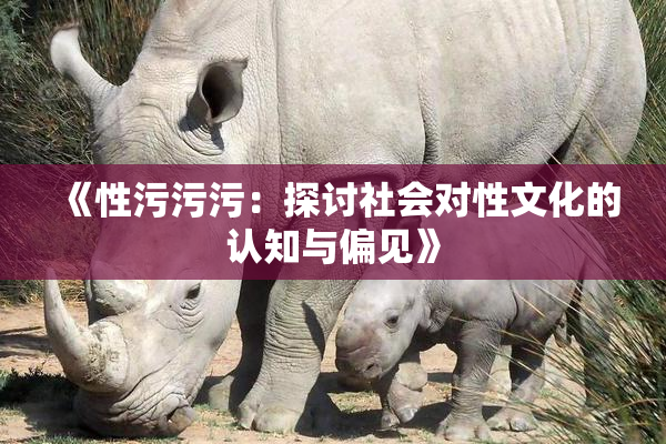 《性污污污：探讨社会对性文化的认知与偏见》