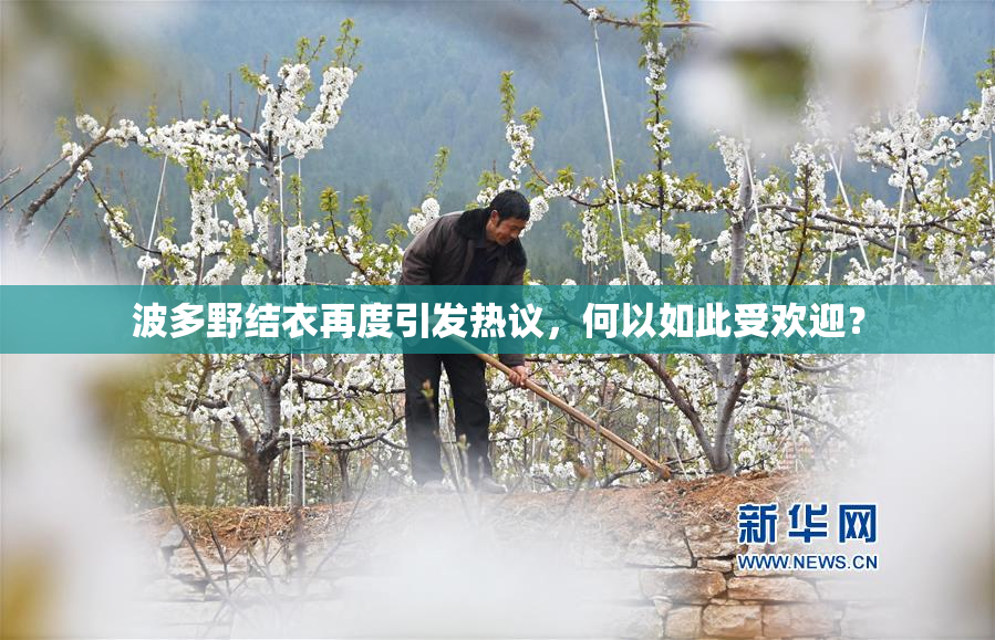 波多野结衣再度引发热议，何以如此受欢迎？