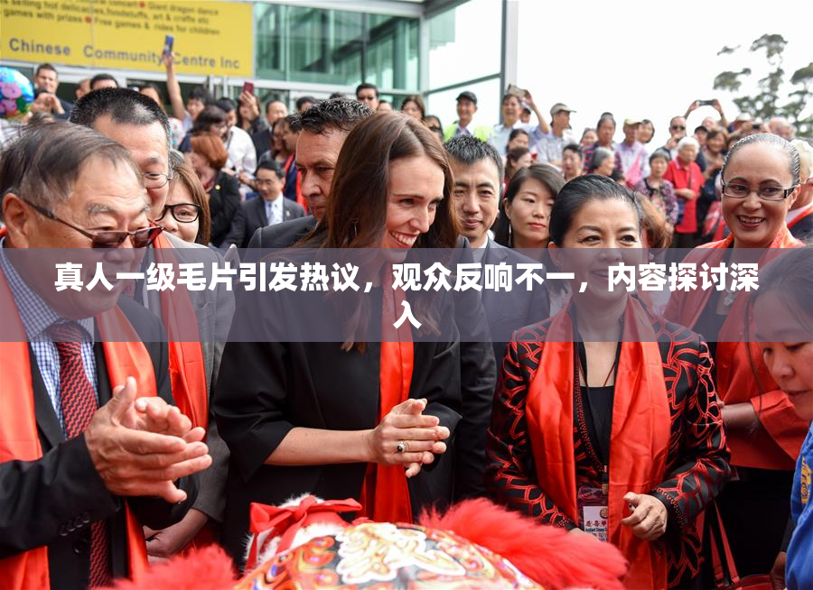 真人一级毛片引发热议，观众反响不一，内容探讨深入