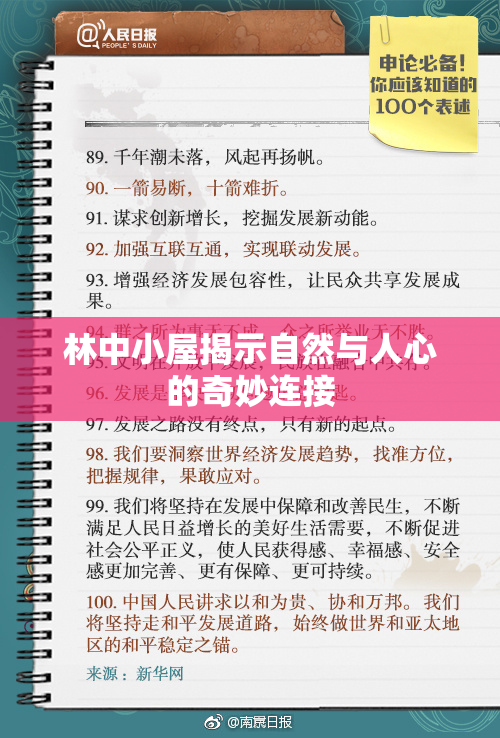 林中小屋揭示自然与人心的奇妙连接
