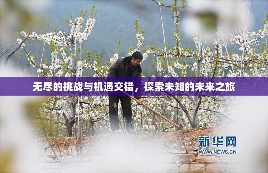 无尽的挑战与机遇交错，探索未知的未来之旅
