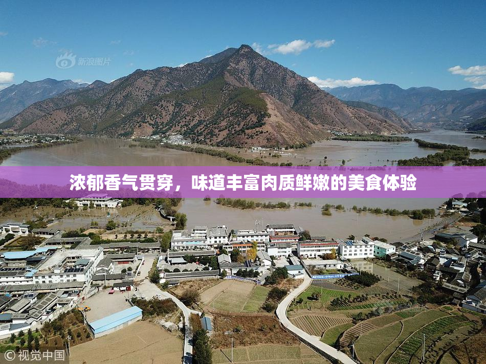浓郁香气贯穿，味道丰富肉质鲜嫩的美食体验