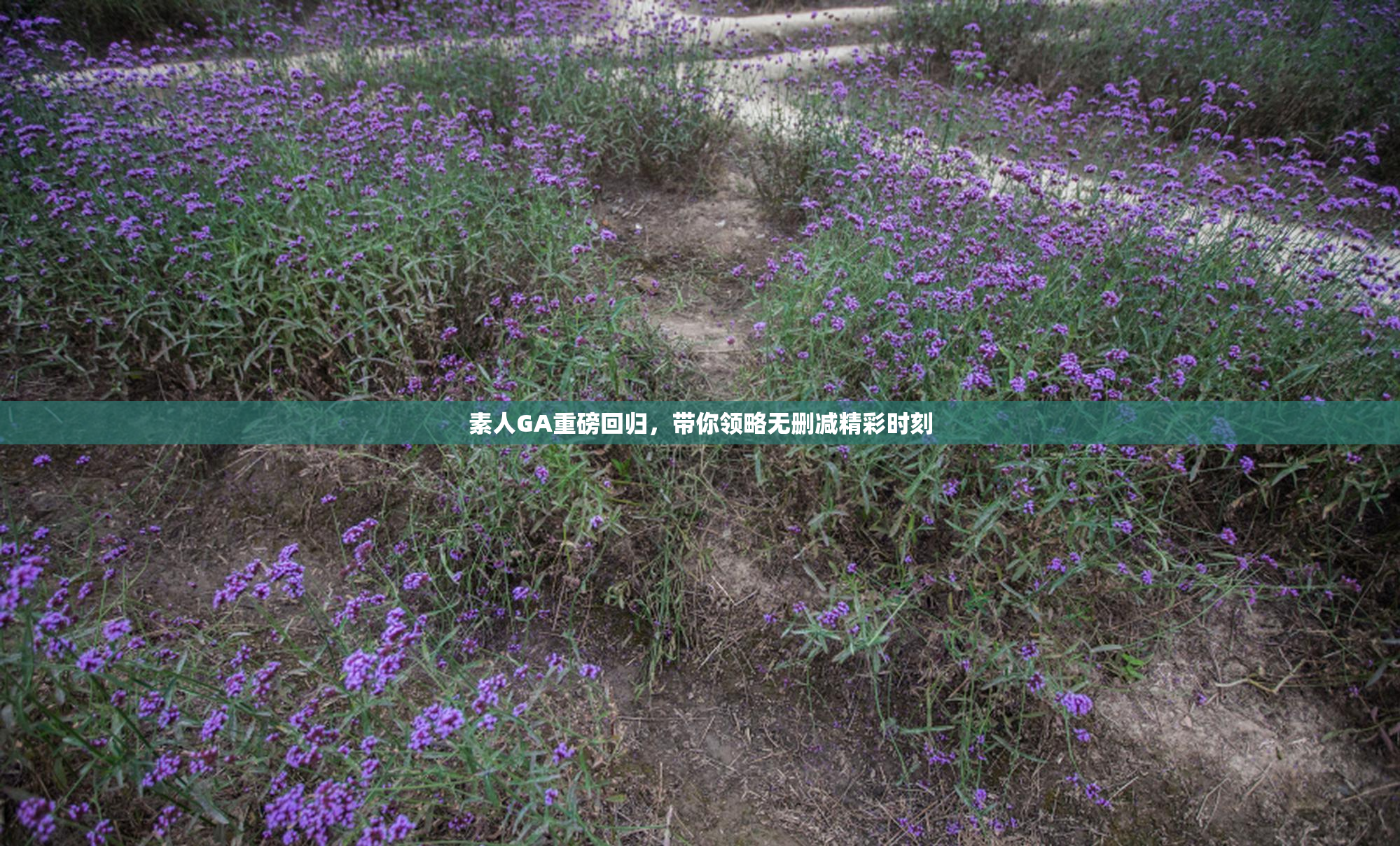 素人GA重磅回归，带你领略无删减精彩时刻