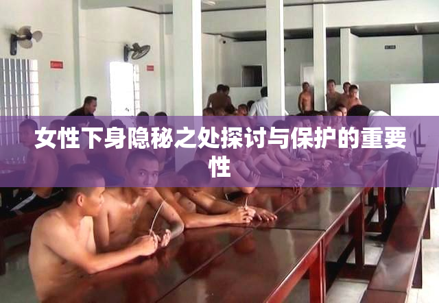 女性下身隐秘之处探讨与保护的重要性