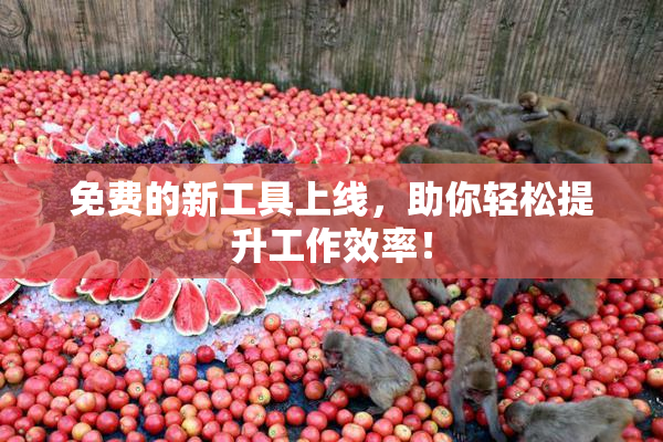 免费的新工具上线，助你轻松提升工作效率！