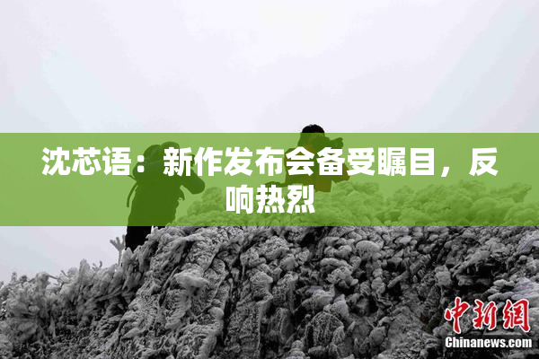 沈芯语：新作发布会备受瞩目，反响热烈