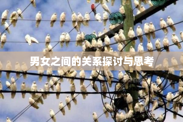 男女之间的关系探讨与思考