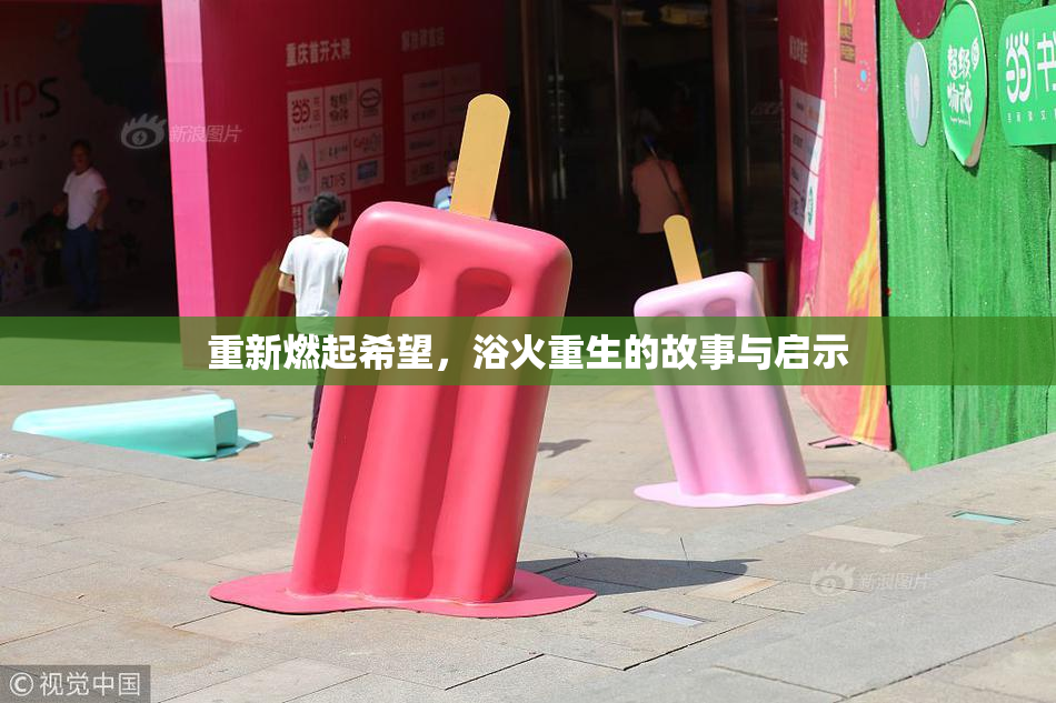 重新燃起希望，浴火重生的故事与启示