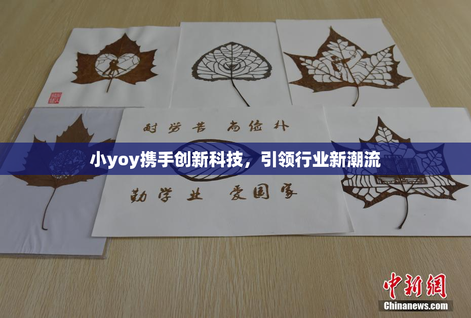 小yoy携手创新科技，引领行业新潮流