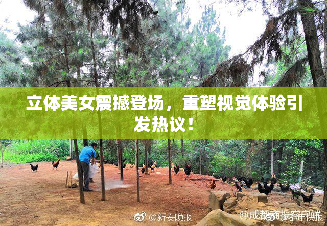 立体美女震撼登场，重塑视觉体验引发热议！