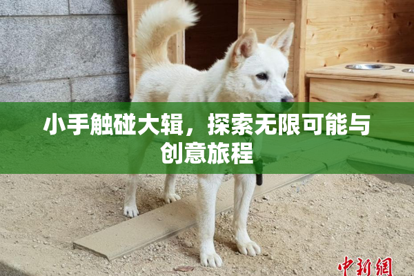 小手触碰大辑，探索无限可能与创意旅程