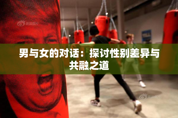 男与女的对话：探讨性别差异与共融之道
