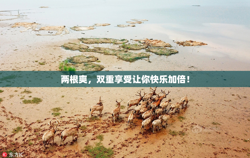 两根爽，双重享受让你快乐加倍！