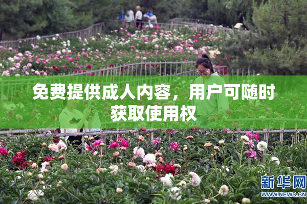 免费提供成人内容，用户可随时获取使用权