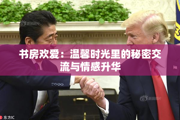书房欢爱：温馨时光里的秘密交流与情感升华