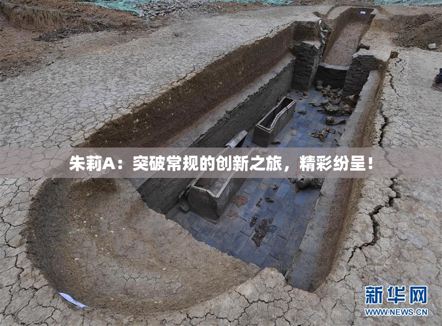 朱莉A：突破常规的创新之旅，精彩纷呈！