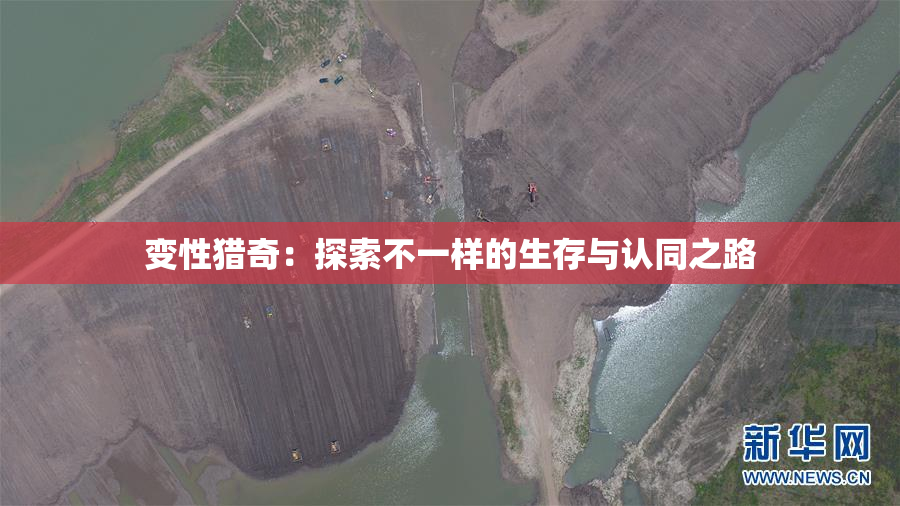 变性猎奇：探索不一样的生存与认同之路