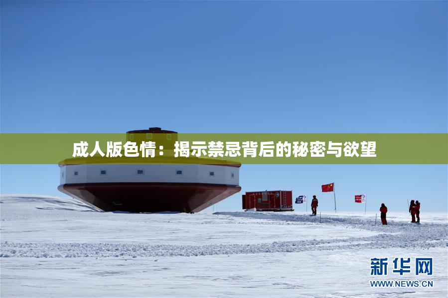 成人版色情：揭示禁忌背后的秘密与欲望