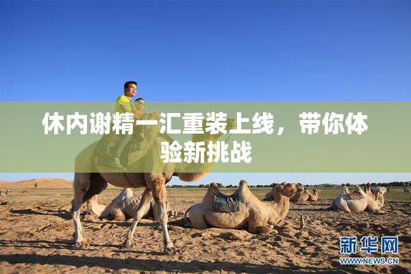 休内谢精一汇重装上线，带你体验新挑战