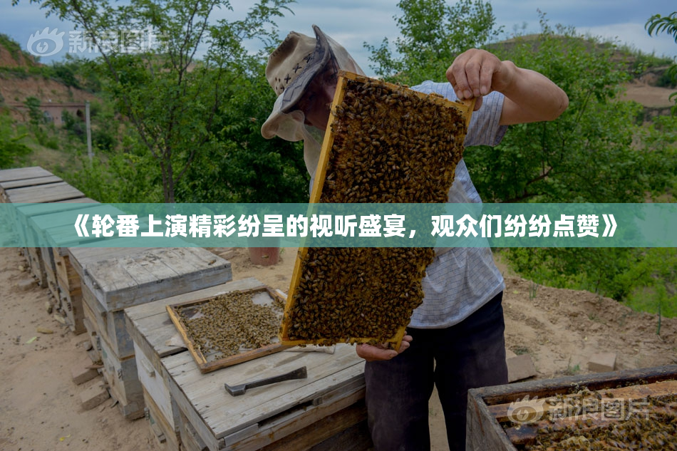 《轮番上演精彩纷呈的视听盛宴，观众们纷纷点赞》