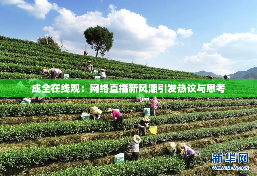 成全在线观：网络直播新风潮引发热议与思考
