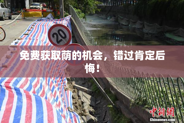 免费获取荫的机会，错过肯定后悔！