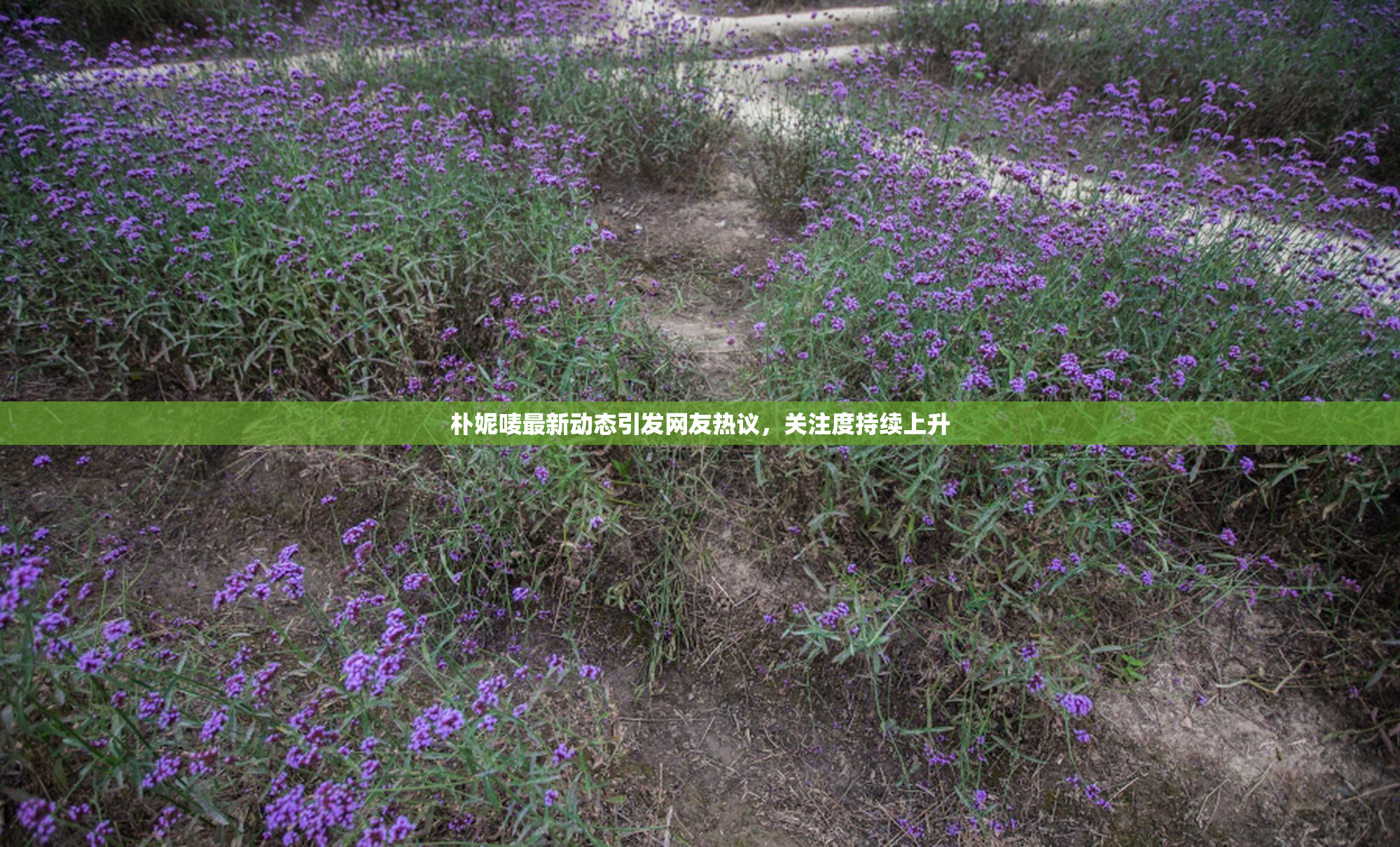 朴妮唛最新动态引发网友热议，关注度持续上升