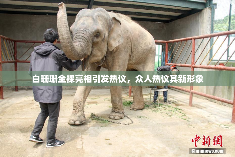 白珊珊全裸亮相引发热议，众人热议其新形象