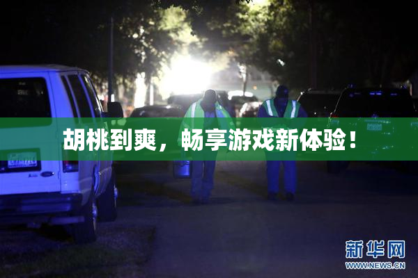 胡桃到爽，畅享游戏新体验！