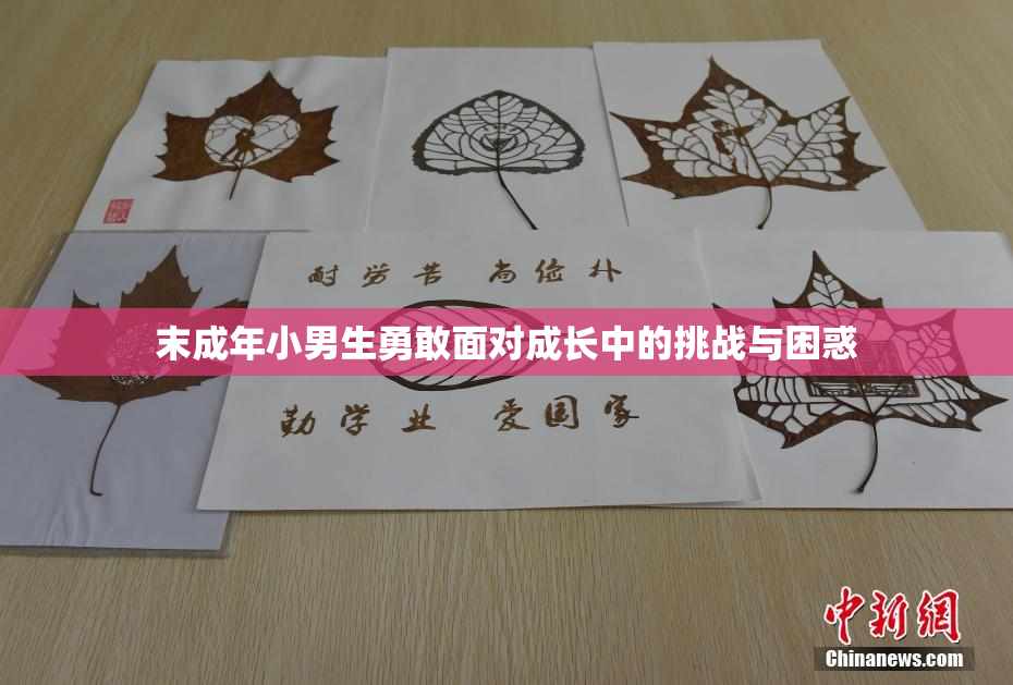 末成年小男生勇敢面对成长中的挑战与困惑