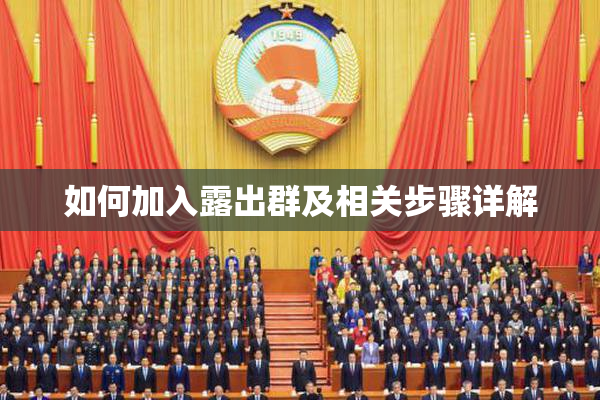 如何加入露出群及相关步骤详解