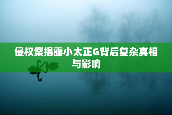 侵权案揭露小太正G背后复杂真相与影响