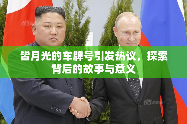 皆月光的车牌号引发热议，探索背后的故事与意义