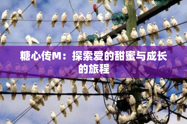 糖心传M：探索爱的甜蜜与成长的旅程