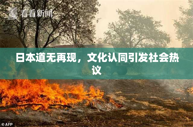 日本道无再现，文化认同引发社会热议
