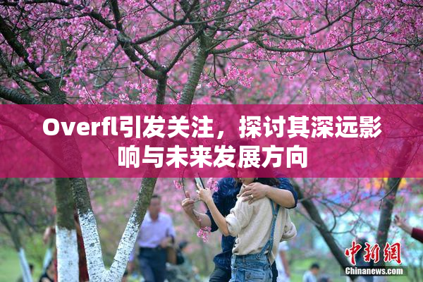 Overfl引发关注，探讨其深远影响与未来发展方向