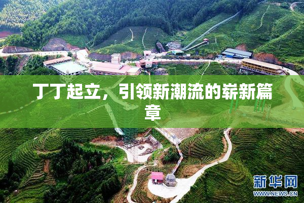 丁丁起立，引领新潮流的崭新篇章
