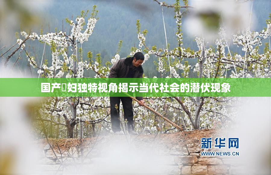 国产婬妇独特视角揭示当代社会的潜伏现象
