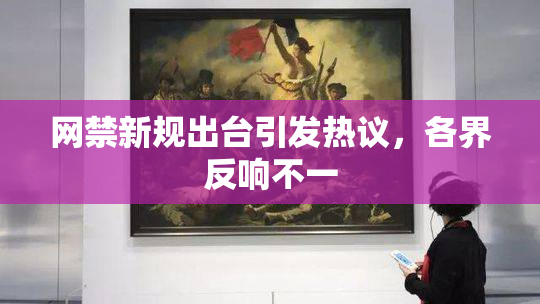 网禁新规出台引发热议，各界反响不一