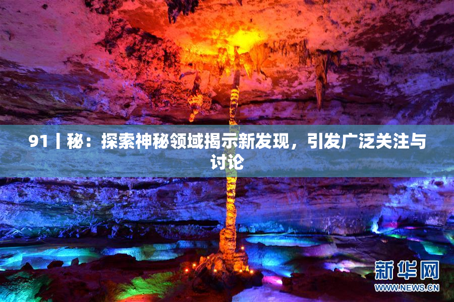 91丨秘：探索神秘领域揭示新发现，引发广泛关注与讨论