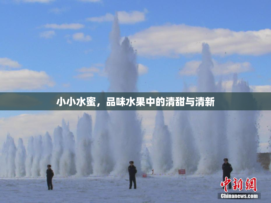小小水蜜，品味水果中的清甜与清新
