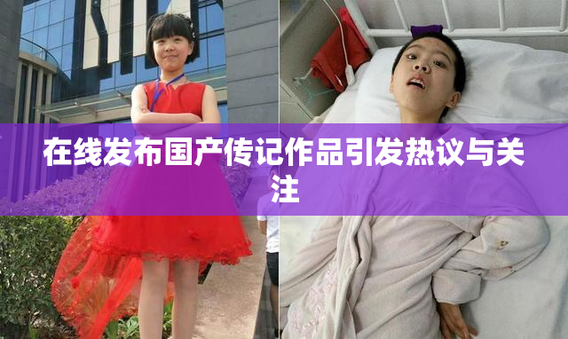 在线发布国产传记作品引发热议与关注