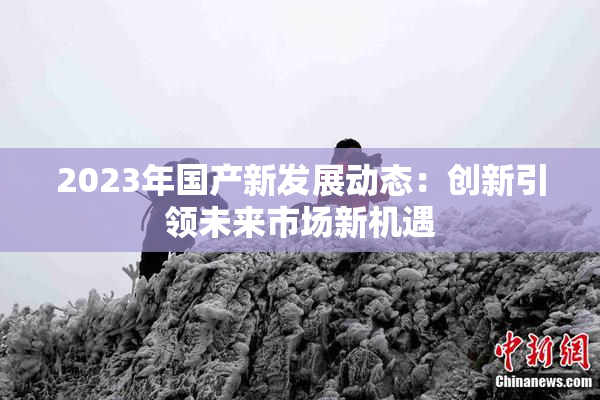 2023年国产新发展动态：创新引领未来市场新机遇