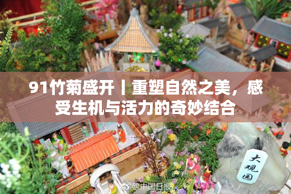 91竹菊盛开丨重塑自然之美，感受生机与活力的奇妙结合