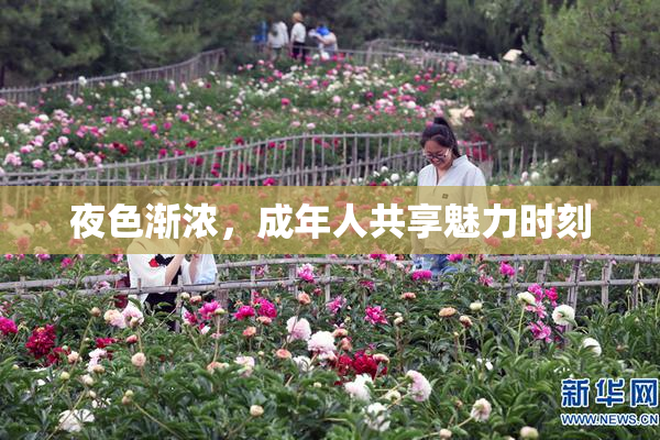 夜色渐浓，成年人共享魅力时刻