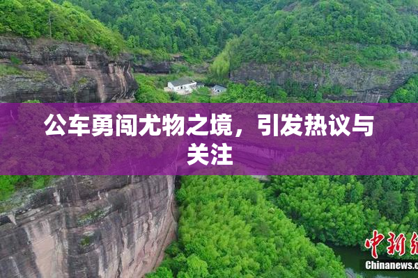 公车勇闯尤物之境，引发热议与关注