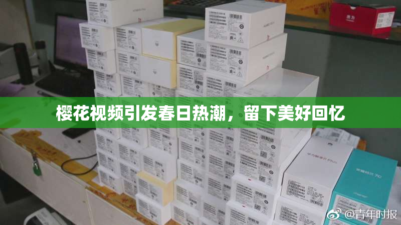 樱花视频引发春日热潮，留下美好回忆