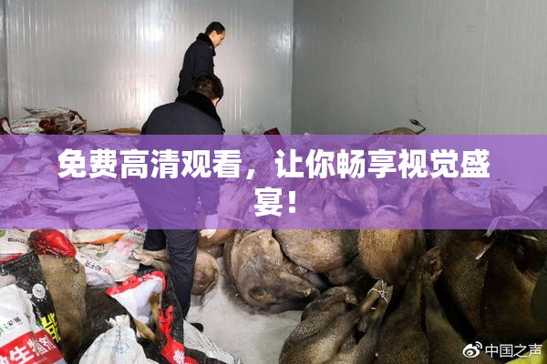 免费高清观看，让你畅享视觉盛宴！